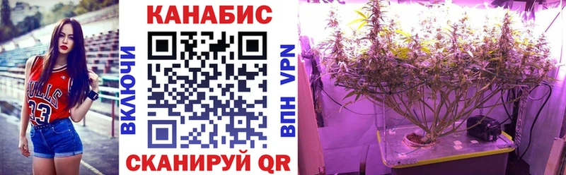 где купить наркоту  Коряжма  Марихуана сатива 